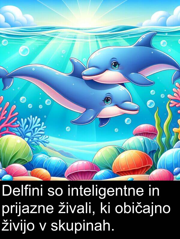 običajno: Delfini so inteligentne in prijazne živali, ki običajno živijo v skupinah.