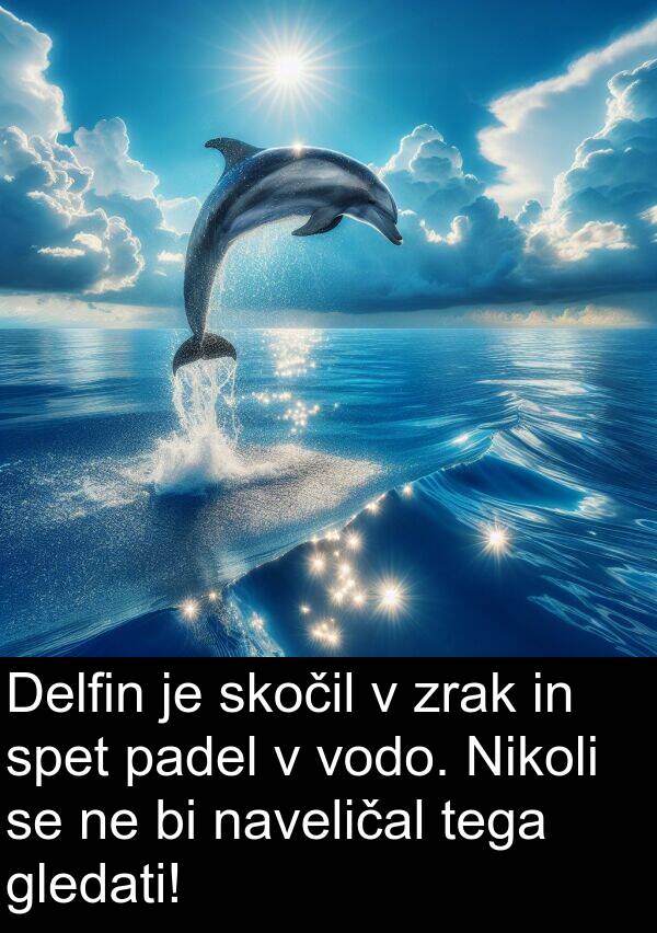 padel: Delfin je skočil v zrak in spet padel v vodo. Nikoli se ne bi naveličal tega gledati!