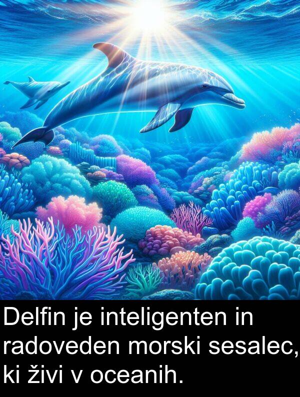 živi: Delfin je inteligenten in radoveden morski sesalec, ki živi v oceanih.