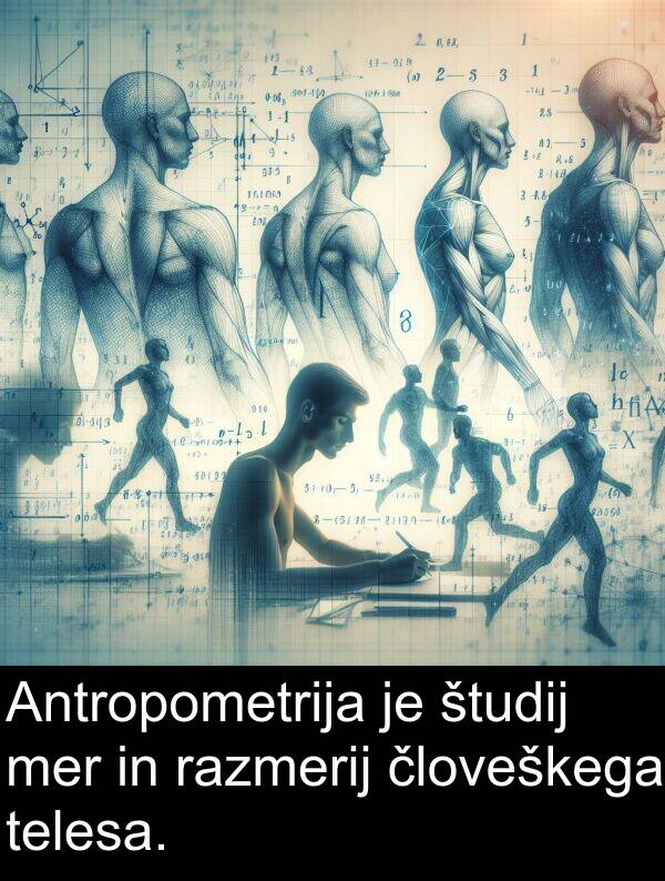 razmerij: Antropometrija je študij mer in razmerij človeškega telesa.