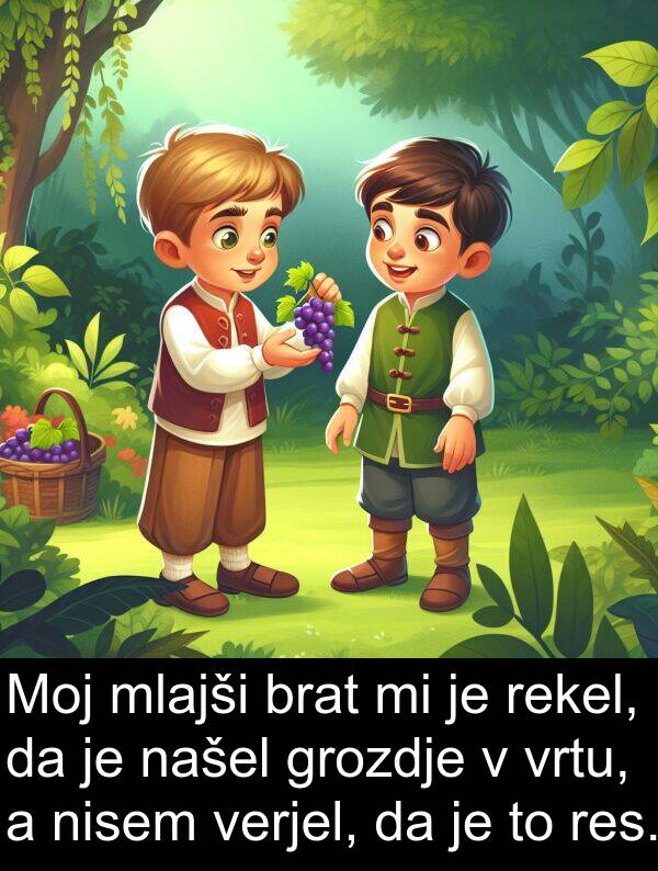 brat: Moj mlajši brat mi je rekel, da je našel grozdje v vrtu, a nisem verjel, da je to res.
