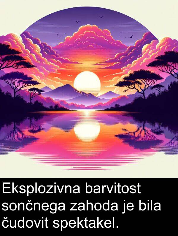 barvitost: Eksplozivna barvitost sončnega zahoda je bila čudovit spektakel.