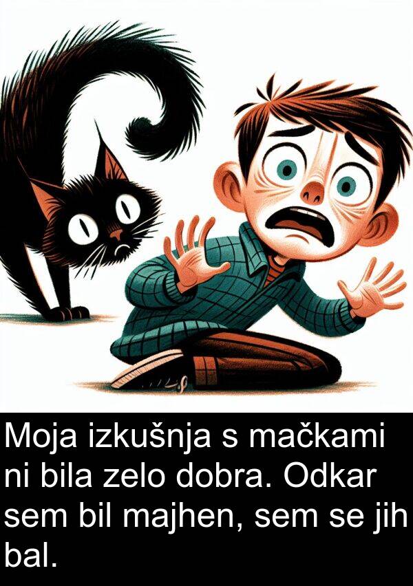 bal: Moja izkušnja s mačkami ni bila zelo dobra. Odkar sem bil majhen, sem se jih bal.