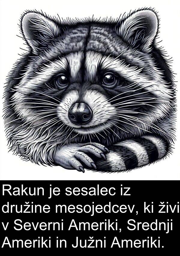 mesojedcev: Rakun je sesalec iz družine mesojedcev, ki živi v Severni Ameriki, Srednji Ameriki in Južni Ameriki.
