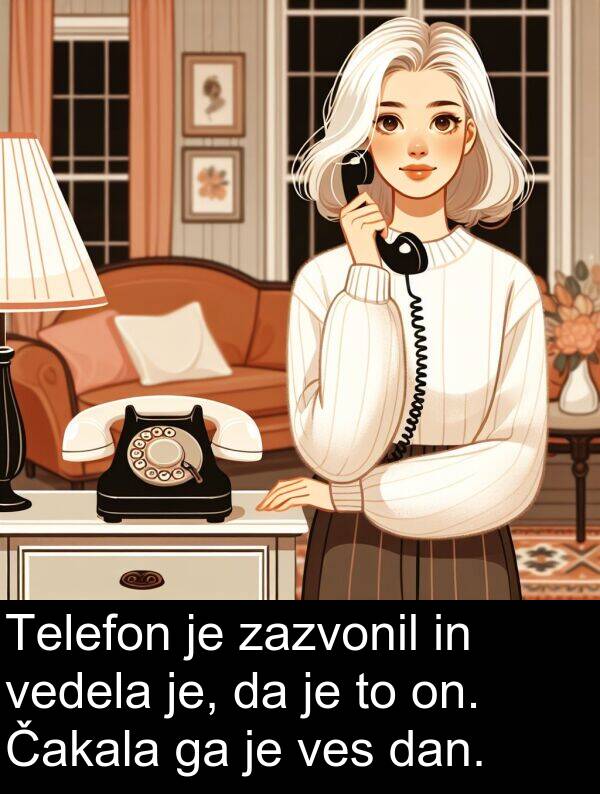on: Telefon je zazvonil in vedela je, da je to on. Čakala ga je ves dan.