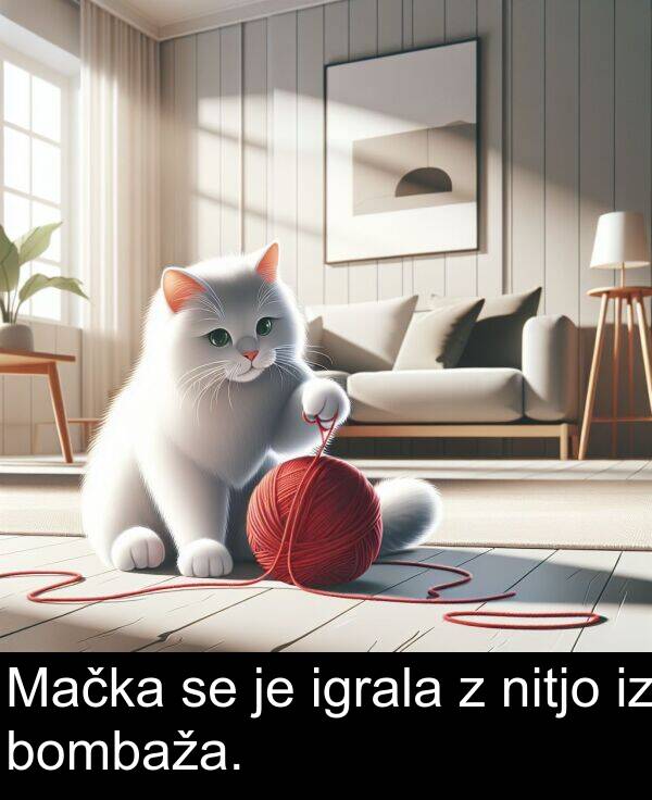 bombaža: Mačka se je igrala z nitjo iz bombaža.