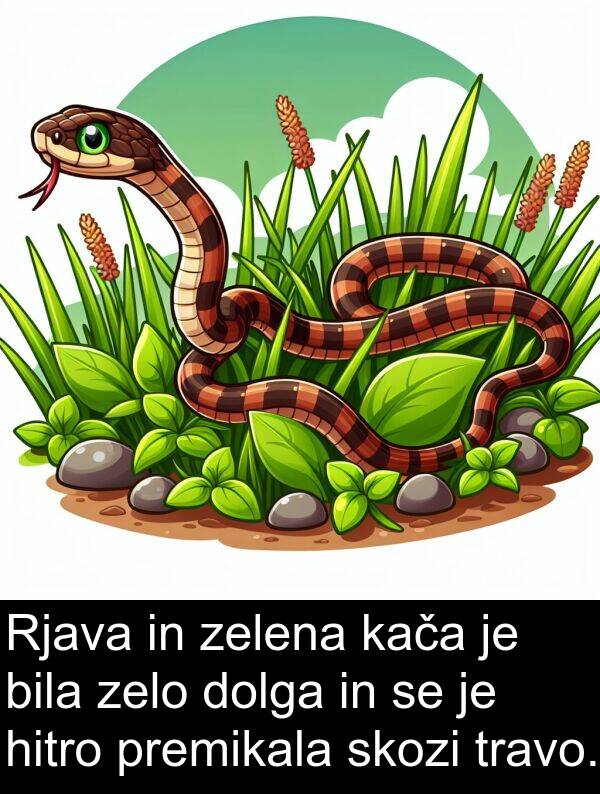 kača: Rjava in zelena kača je bila zelo dolga in se je hitro premikala skozi travo.