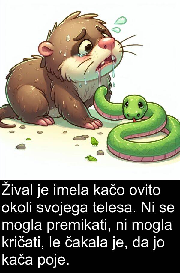 kačo: Žival je imela kačo ovito okoli svojega telesa. Ni se mogla premikati, ni mogla kričati, le čakala je, da jo kača poje.