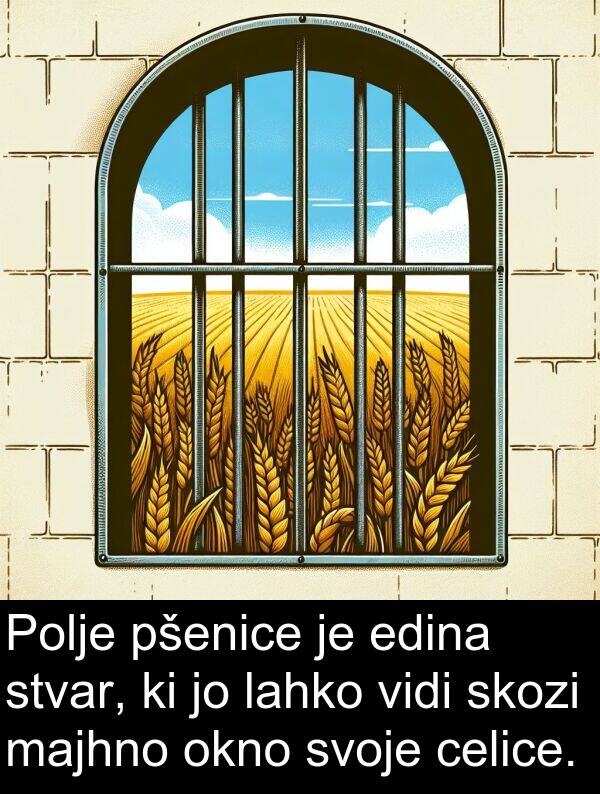 celice: Polje pšenice je edina stvar, ki jo lahko vidi skozi majhno okno svoje celice.