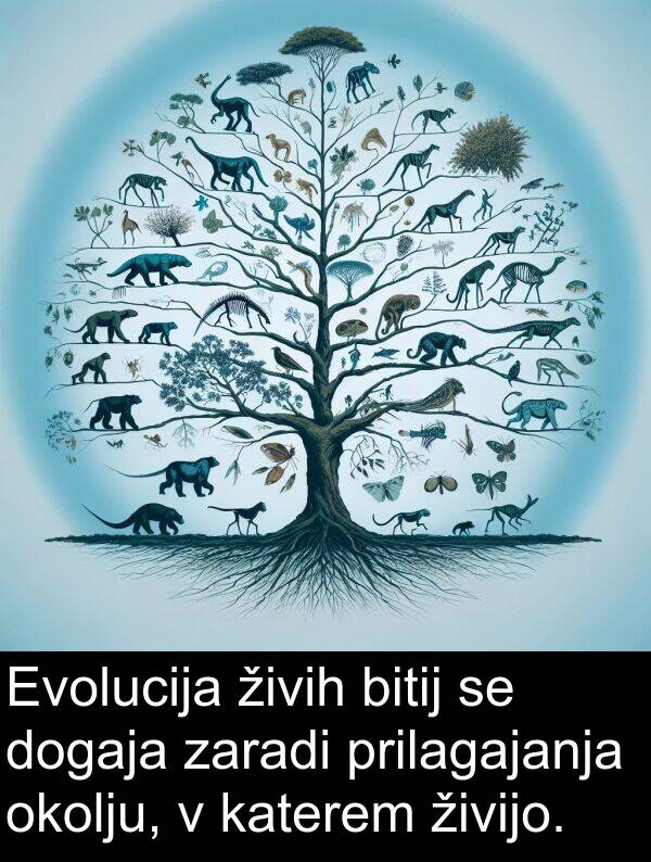 živih: Evolucija živih bitij se dogaja zaradi prilagajanja okolju, v katerem živijo.