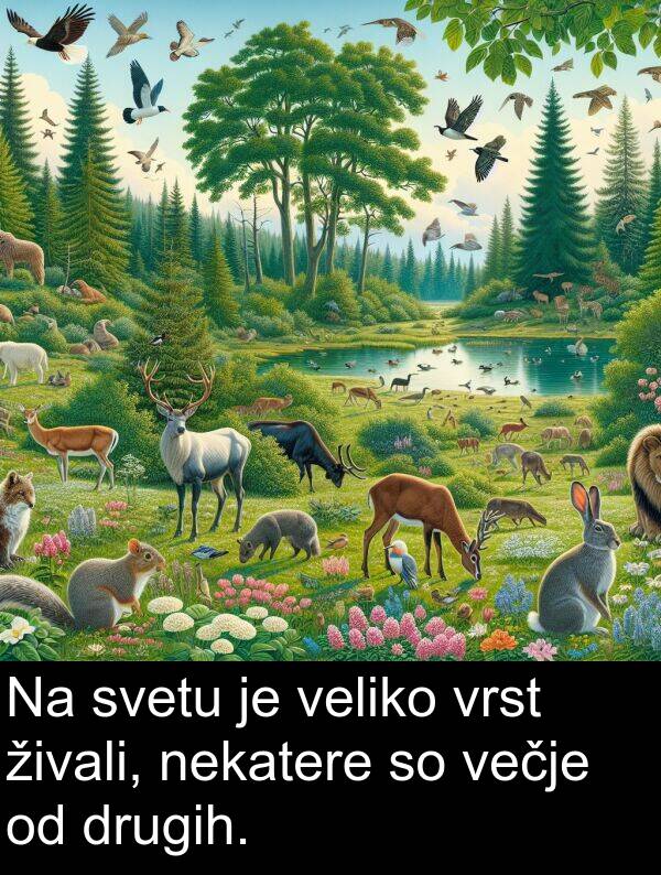 svetu: Na svetu je veliko vrst živali, nekatere so večje od drugih.