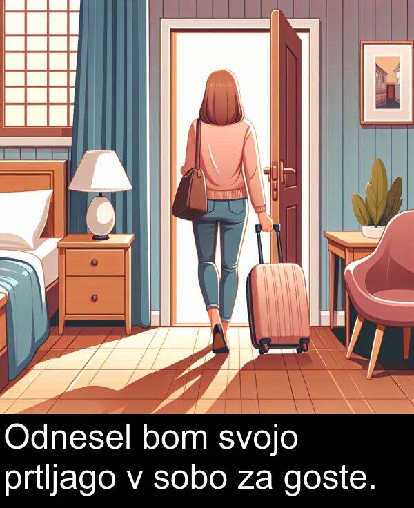 goste: Odnesel bom svojo prtljago v sobo za goste.