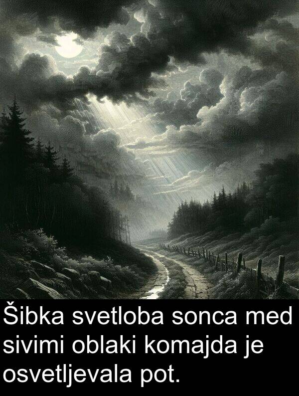 sonca: Šibka svetloba sonca med sivimi oblaki komajda je osvetljevala pot.