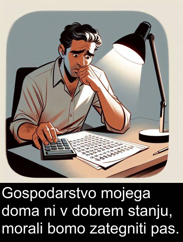 mojega: Gospodarstvo mojega doma ni v dobrem stanju, morali bomo zategniti pas.