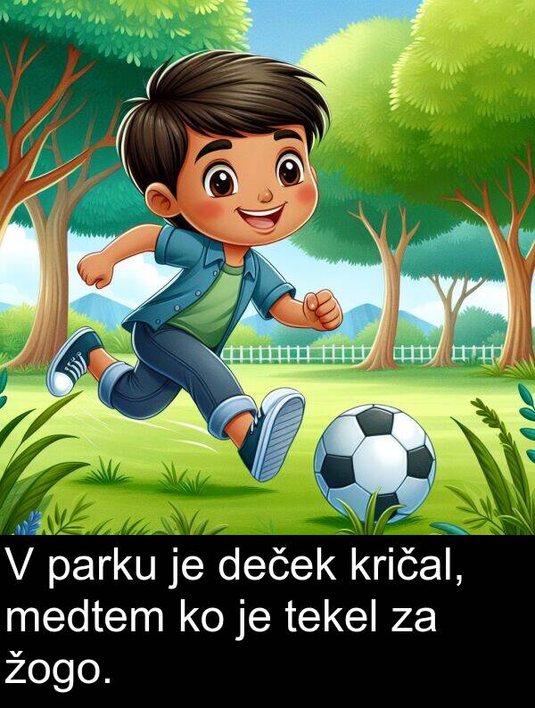 žogo: V parku je deček kričal, medtem ko je tekel za žogo.