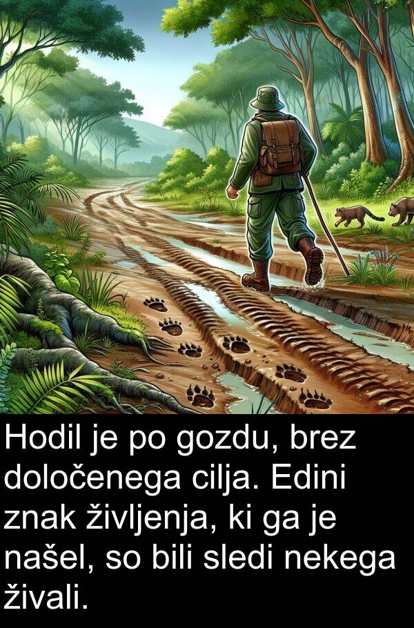 cilja: Hodil je po gozdu, brez določenega cilja. Edini znak življenja, ki ga je našel, so bili sledi nekega živali.