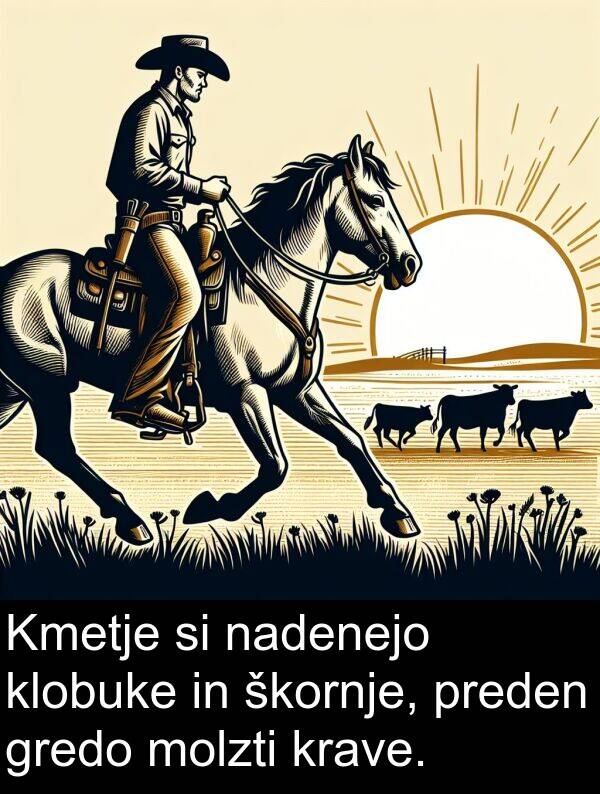 nadenejo: Kmetje si nadenejo klobuke in škornje, preden gredo molzti krave.