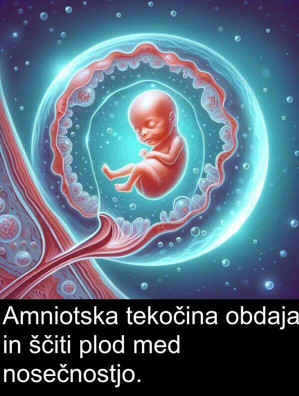 obdaja: Amniotska tekočina obdaja in ščiti plod med nosečnostjo.