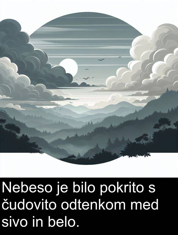 belo: Nebeso je bilo pokrito s čudovito odtenkom med sivo in belo.