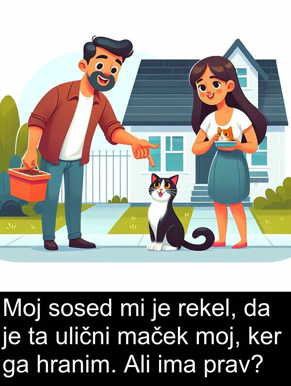 maček: Moj sosed mi je rekel, da je ta ulični maček moj, ker ga hranim. Ali ima prav?