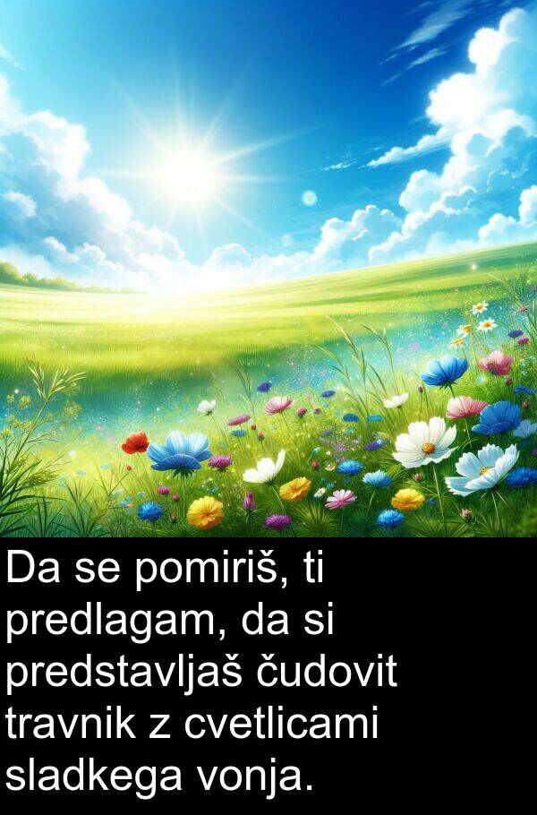 pomiriš: Da se pomiriš, ti predlagam, da si predstavljaš čudovit travnik z cvetlicami sladkega vonja.