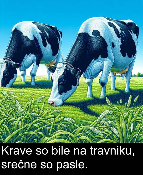 bile: Krave so bile na travniku, srečne so pasle.