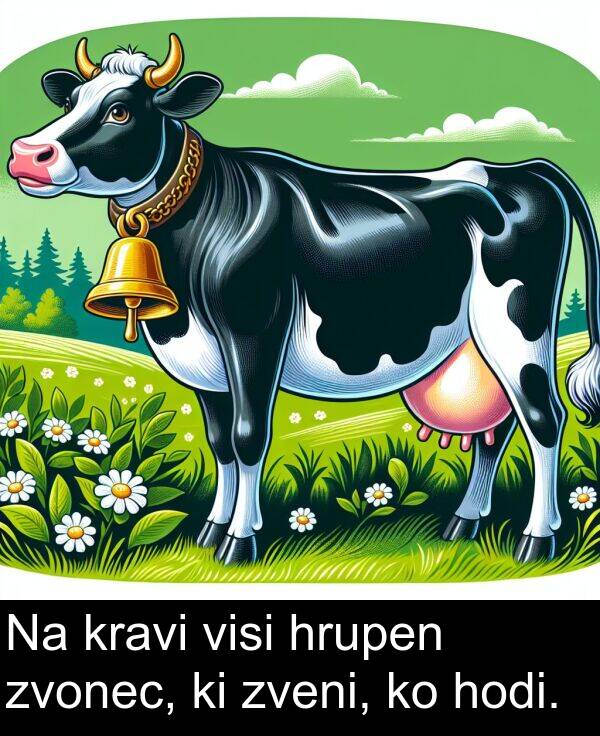 kravi: Na kravi visi hrupen zvonec, ki zveni, ko hodi.