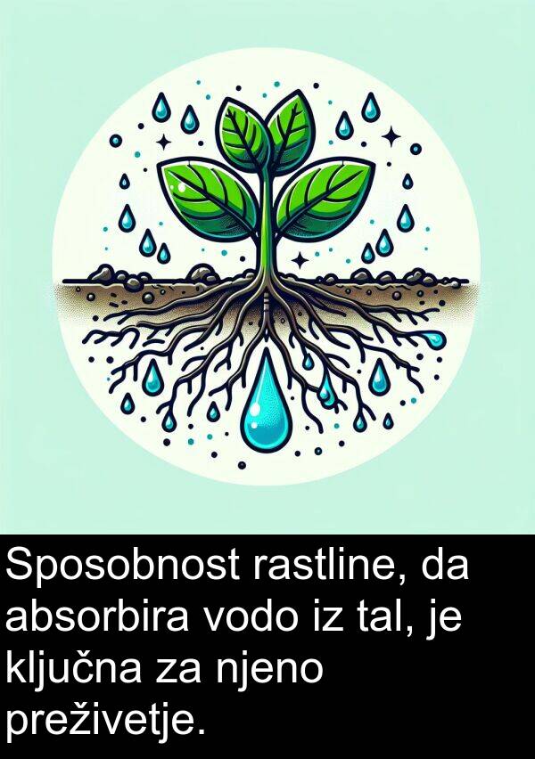 rastline: Sposobnost rastline, da absorbira vodo iz tal, je ključna za njeno preživetje.