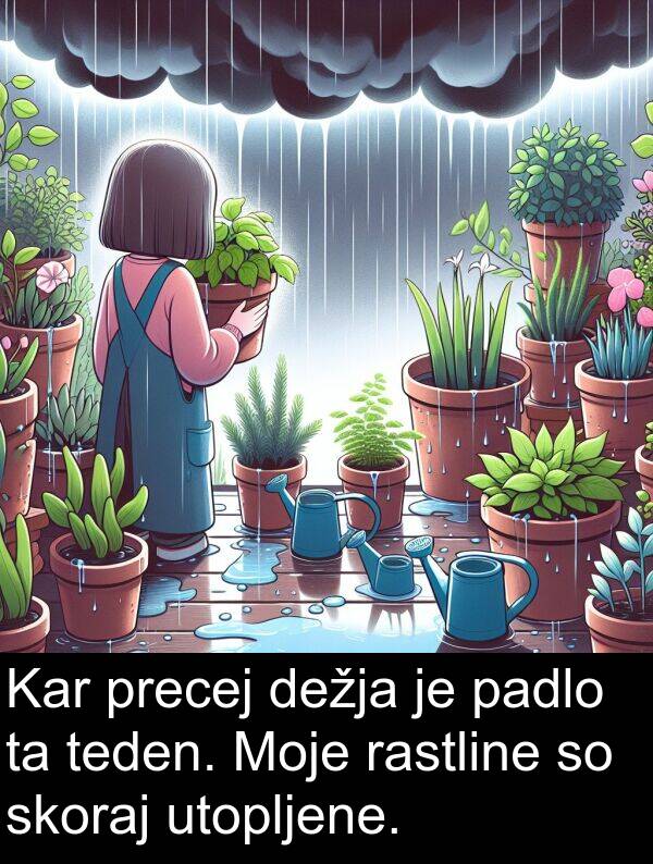 rastline: Kar precej dežja je padlo ta teden. Moje rastline so skoraj utopljene.