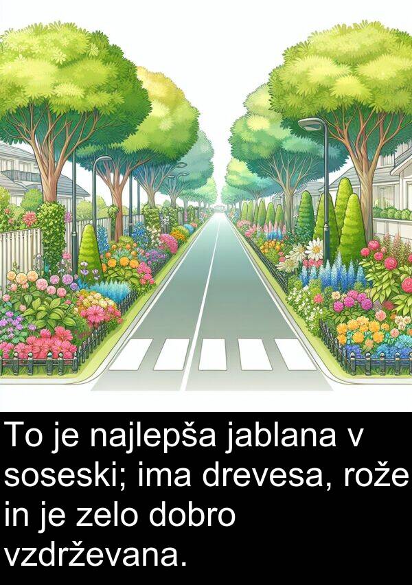 rože: To je najlepša jablana v soseski; ima drevesa, rože in je zelo dobro vzdrževana.