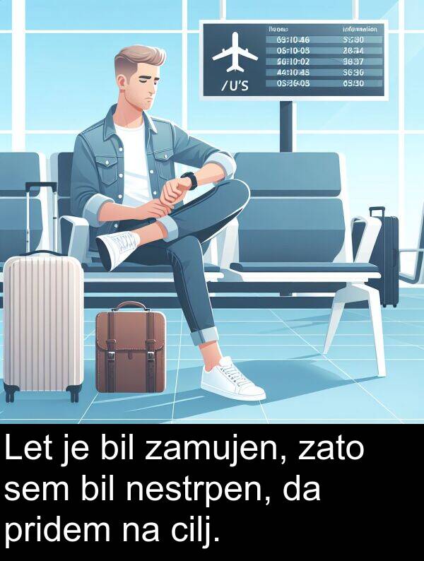 cilj: Let je bil zamujen, zato sem bil nestrpen, da pridem na cilj.