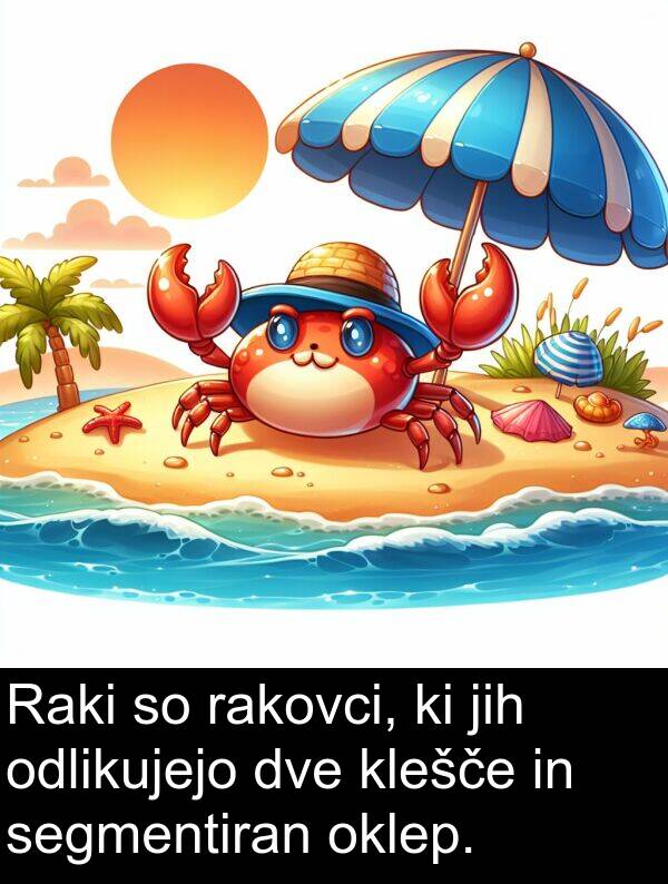 segmentiran: Raki so rakovci, ki jih odlikujejo dve klešče in segmentiran oklep.