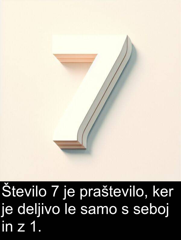 seboj: Število 7 je praštevilo, ker je deljivo le samo s seboj in z 1.