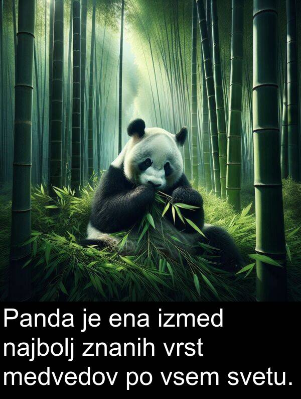 ena: Panda je ena izmed najbolj znanih vrst medvedov po vsem svetu.