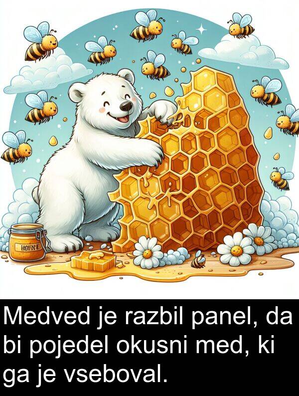 panel: Medved je razbil panel, da bi pojedel okusni med, ki ga je vseboval.