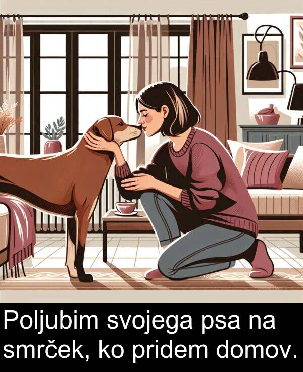 smrček: Poljubim svojega psa na smrček, ko pridem domov.