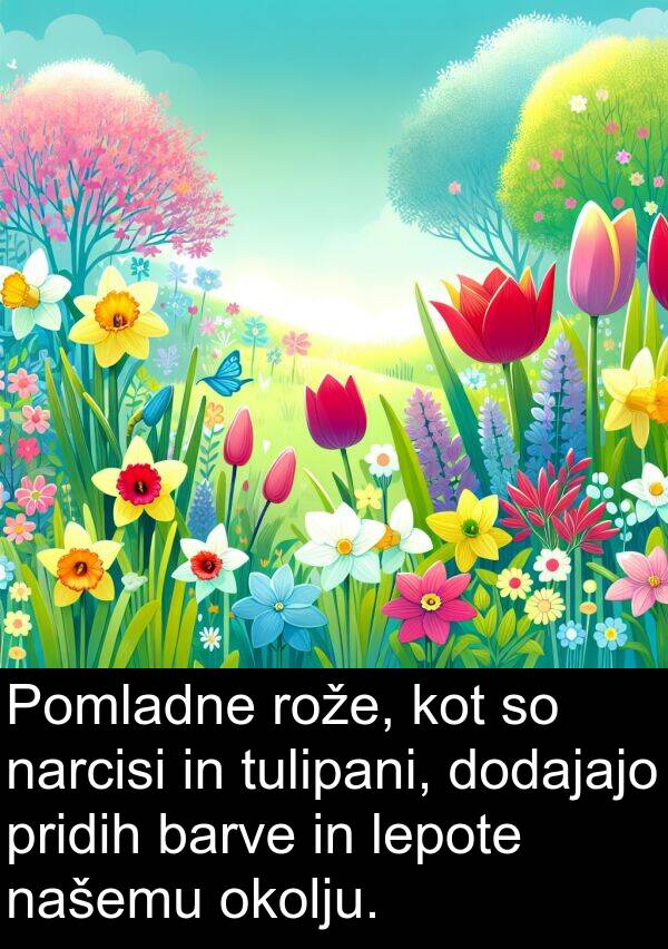 barve: Pomladne rože, kot so narcisi in tulipani, dodajajo pridih barve in lepote našemu okolju.
