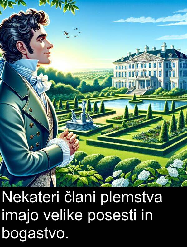 plemstva: Nekateri člani plemstva imajo velike posesti in bogastvo.