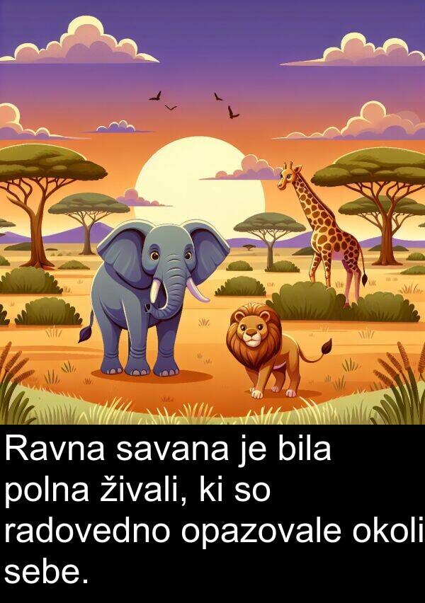 sebe: Ravna savana je bila polna živali, ki so radovedno opazovale okoli sebe.