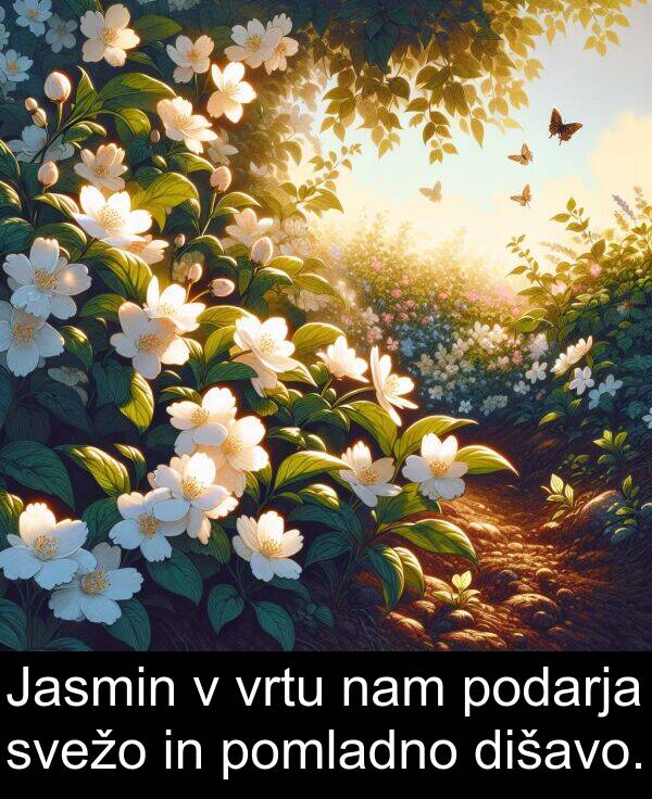 svežo: Jasmin v vrtu nam podarja svežo in pomladno dišavo.