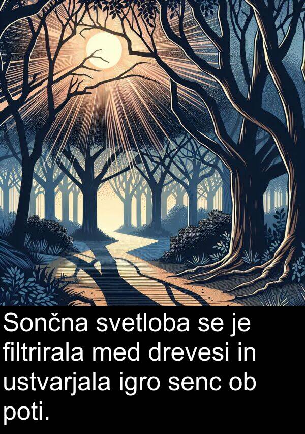 poti: Sončna svetloba se je filtrirala med drevesi in ustvarjala igro senc ob poti.