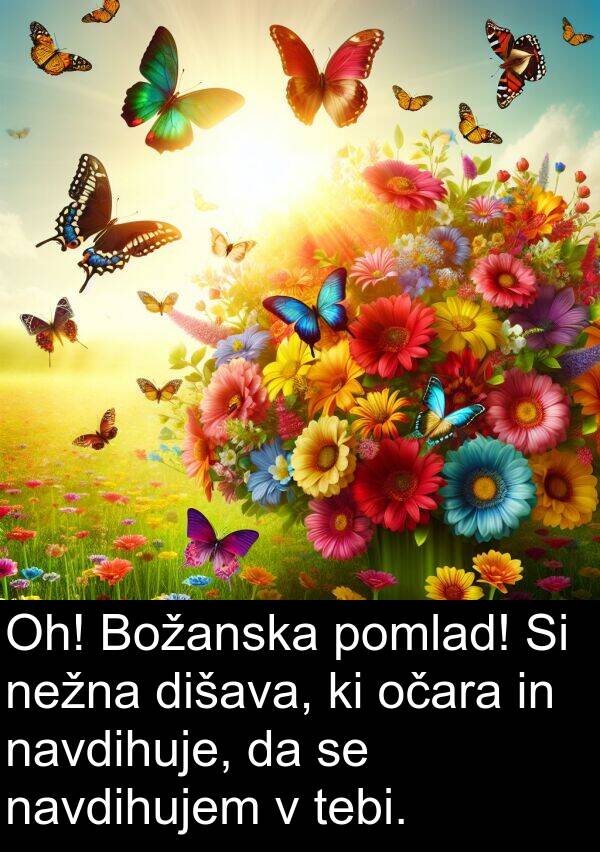 tebi: Oh! Božanska pomlad! Si nežna dišava, ki očara in navdihuje, da se navdihujem v tebi.