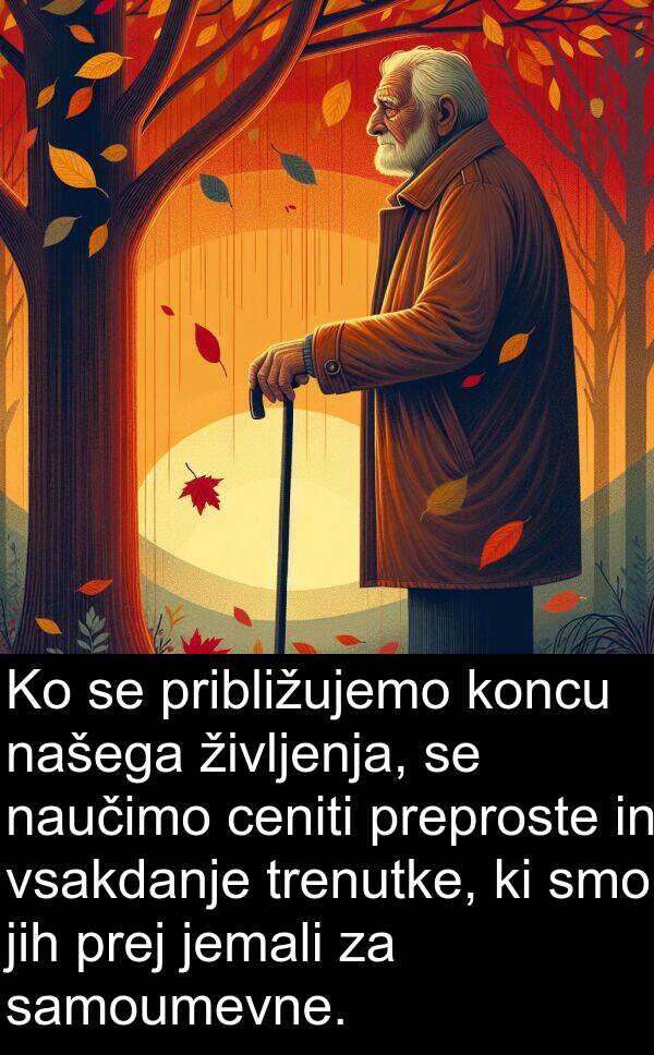 ceniti: Ko se približujemo koncu našega življenja, se naučimo ceniti preproste in vsakdanje trenutke, ki smo jih prej jemali za samoumevne.