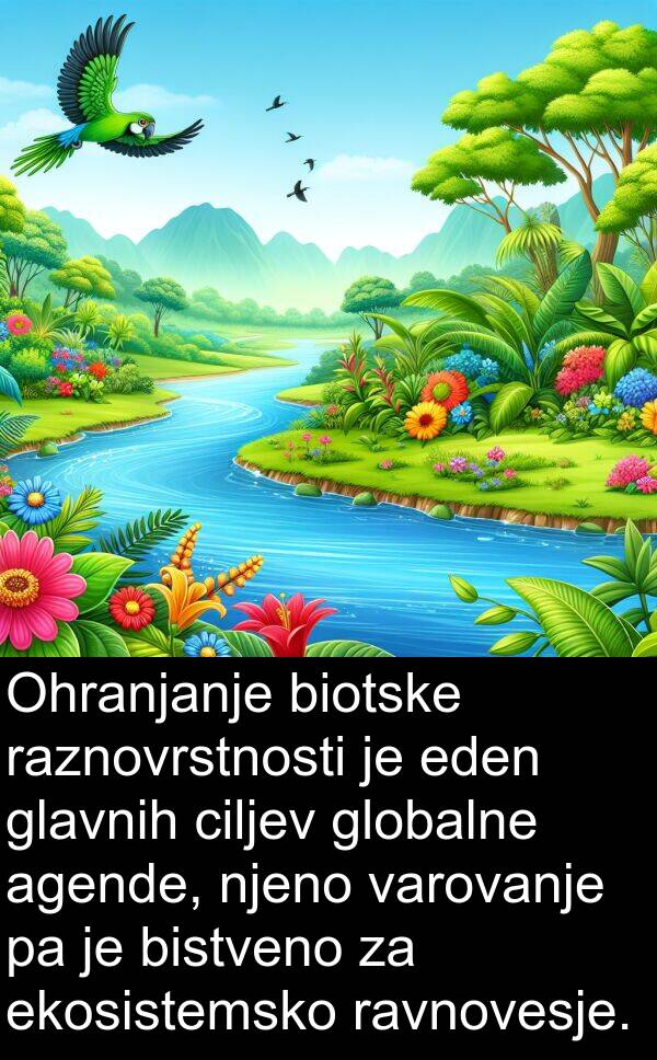 eden: Ohranjanje biotske raznovrstnosti je eden glavnih ciljev globalne agende, njeno varovanje pa je bistveno za ekosistemsko ravnovesje.