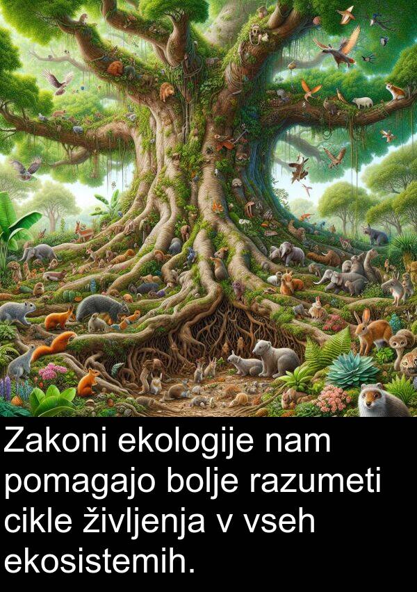 ekologije: Zakoni ekologije nam pomagajo bolje razumeti cikle življenja v vseh ekosistemih.