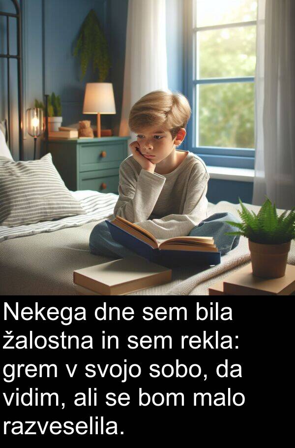 malo: Nekega dne sem bila žalostna in sem rekla: grem v svojo sobo, da vidim, ali se bom malo razveselila.