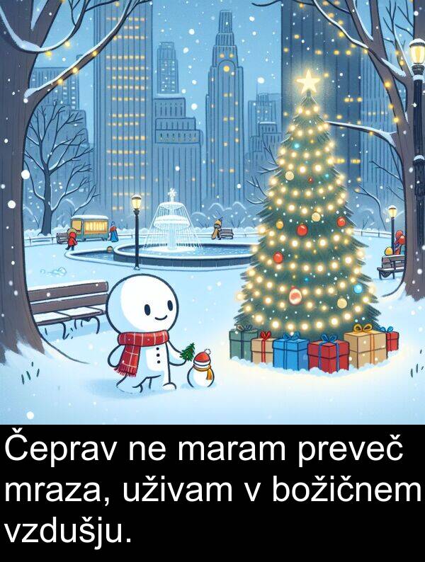 mraza: Čeprav ne maram preveč mraza, uživam v božičnem vzdušju.