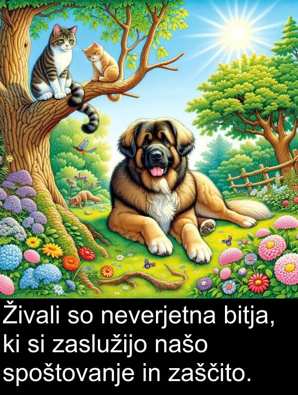 bitja: Živali so neverjetna bitja, ki si zaslužijo našo spoštovanje in zaščito.