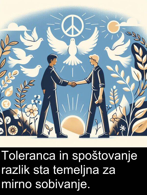 spoštovanje: Toleranca in spoštovanje razlik sta temeljna za mirno sobivanje.