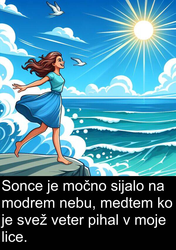 sijalo: Sonce je močno sijalo na modrem nebu, medtem ko je svež veter pihal v moje lice.